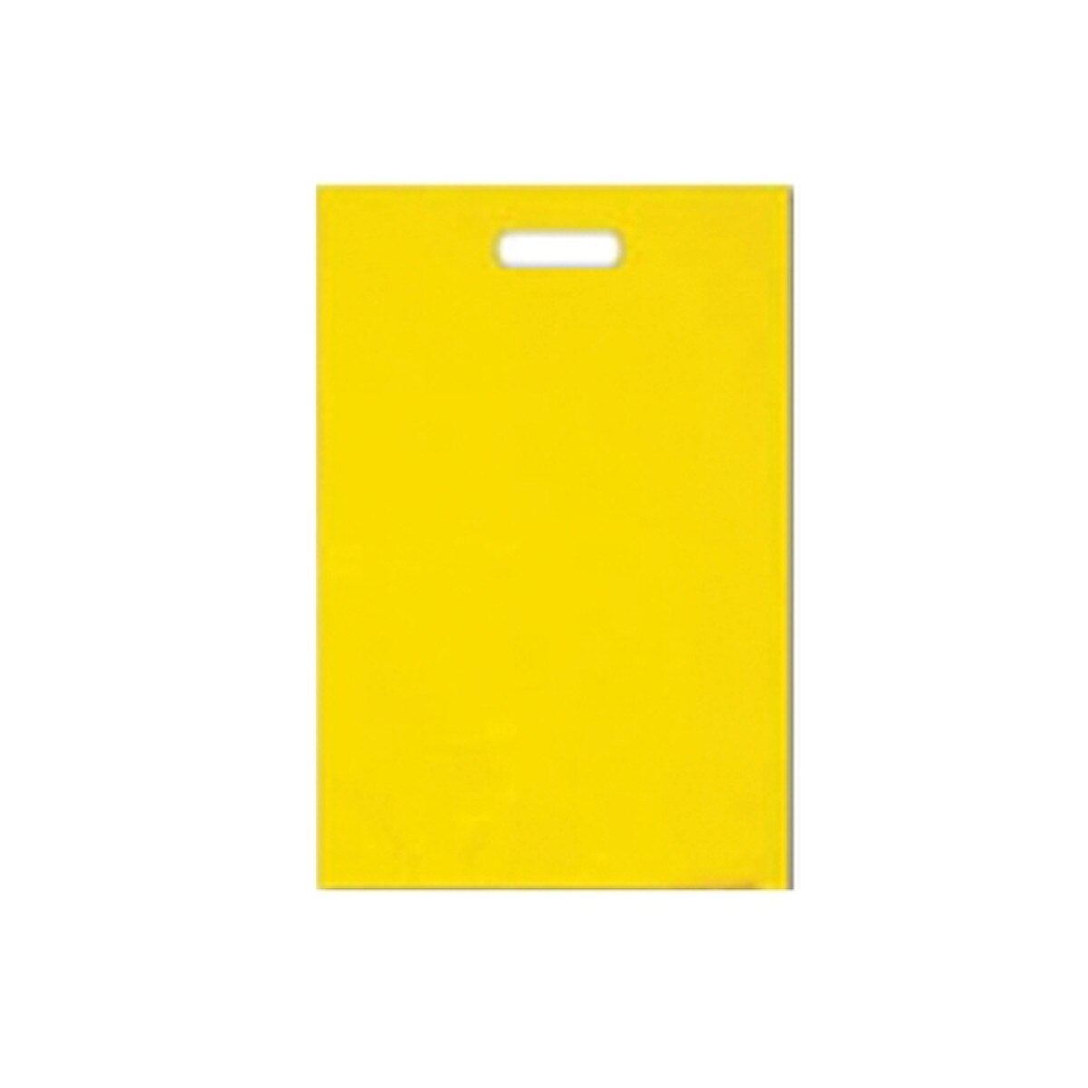 H.D. Plastic Merchandise Bags - 12